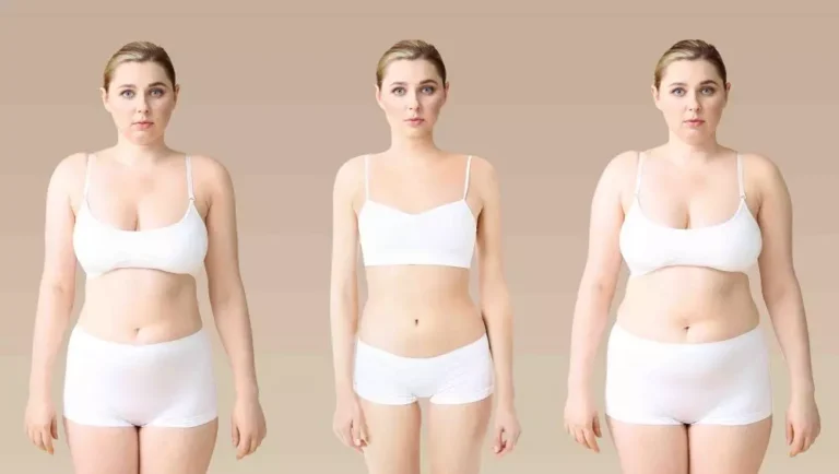 Fim do Efeito Sanfona 5 Estratégias Definitivas para Manter o Peso Conquistado Nutricionista Bárbara SantAna Fim do Efeito Sanfona 5 Estratégias Definitivas para Manter o Peso Conquistado